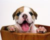 TheWindowsForum.com  -  7.jpg