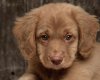 TheWindowsForum.com  -  8.jpg
