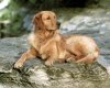 TheWindowsForum.com  -  9.jpg