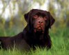 TheWindowsForum.com  -  16.jpg