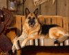 TheWindowsForum.com  -  20.jpg