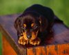 TheWindowsForum.com  -  23.jpg