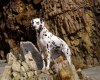 TheWindowsForum.com  -  24.jpg
