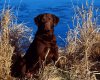 TheWindowsForum.com  -  30.jpg