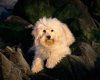 TheWindowsForum.com  -  31.jpg