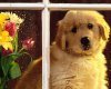 TheWindowsForum.com  -  34.jpg