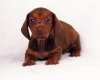 TheWindowsForum.com  -  38.JPG
