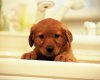 TheWindowsForum.com  -  40.JPG