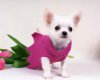 TheWindowsForum.com  -  41.JPG