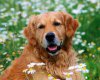 TheWindowsForum.com  -  46.jpg