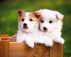 TheWindowsForum.com  -  48.jpg