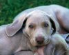 TheWindowsForum.com  -  49.jpg