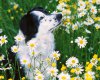 TheWindowsForum.com  -  57.jpg