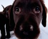 TheWindowsForum.com  -  59.jpg