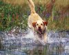 TheWindowsForum.com  -  61.jpg