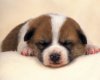 TheWindowsForum.com  -  66.JPG