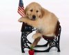 TheWindowsForum.com  -  69.jpg