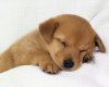TheWindowsForum.com  -  75.jpg