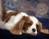 TheWindowsForum.com  -  76.jpg