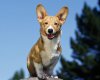 TheWindowsForum.com  -  83.jpg
