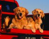 TheWindowsForum.com  -  85.jpg