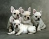 TheWindowsForum.com  -  89.jpg