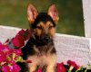 TheWindowsForum.com  -  90.jpg