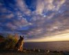 TheWindowsForum.com  -  91.jpg