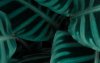 Ultra HD 4K Wallpapers-TheWindowsForum.com__006.jpg