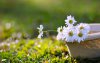Ultra HD 4K Wallpapers-TheWindowsForum.com__029.jpg