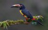 Ultra HD 4K Wallpapers-TheWindowsForum.com__047.jpg