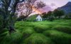 Ultra HD 4K Wallpapers-TheWindowsForum.com__050.jpg
