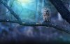 Ultra HD 4K Wallpapers-TheWindowsForum.com__058.jpg