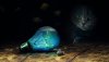Ultra HD 4K Wallpapers-TheWindowsForum.com__073.jpg
