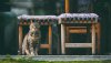 Ultra HD 4K Wallpapers-TheWindowsForum.com__077.jpg