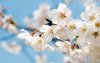 Ultra HD 4K Wallpapers-TheWindowsForum.com__017.jpg