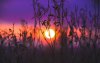 Ultra HD 4K Wallpapers-TheWindowsForum.com__022.jpg