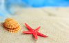 Ultra HD 4K Wallpapers-TheWindowsForum.com__049.jpg