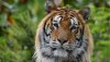 Ultra HD 4K Wallpapers-TheWindowsForum.com__062.jpg