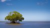 Ultra HD 4K Wallpapers-TheWindowsForum.com__009.jpg