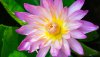 Ultra HD 4K Wallpapers-TheWindowsForum.com__034.jpg