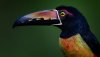 Ultra HD 4K Wallpapers-TheWindowsForum.com__035.jpg