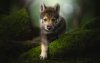 Ultra HD 4K Wallpapers-TheWindowsForum.com__040.jpg