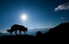 Ultra HD 4K Wallpapers-TheWindowsForum.com__043.jpg