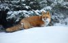 Ultra HD 4K Wallpapers-TheWindowsForum.com__048.jpg