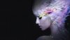 Ultra HD 4K Wallpapers-TheWindowsForum.com__028.jpg