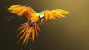 Ultra HD 4K Wallpapers-TheWindowsForum.com__052.jpg