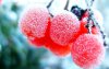 TheWindowsForum.com1 (54).jpg