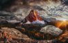 Ultra HD 4K Wallpapers-TheWindowsForum.com__029.jpg
