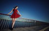 Ultra HD 4K Wallpapers-TheWindowsForum.com__043.jpg